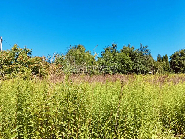 Бродницы д.: участок 15 соток